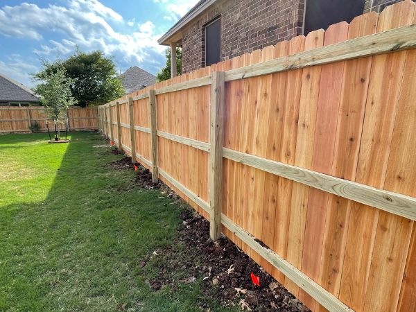 Cedar Privacy Fence