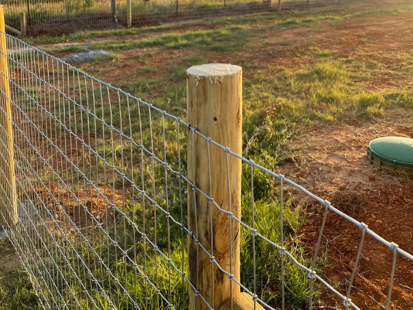 Ranch Style Fence