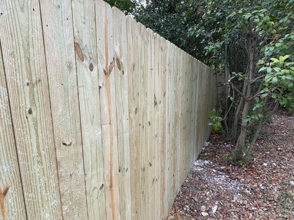 TreatedPinePrivancyFence