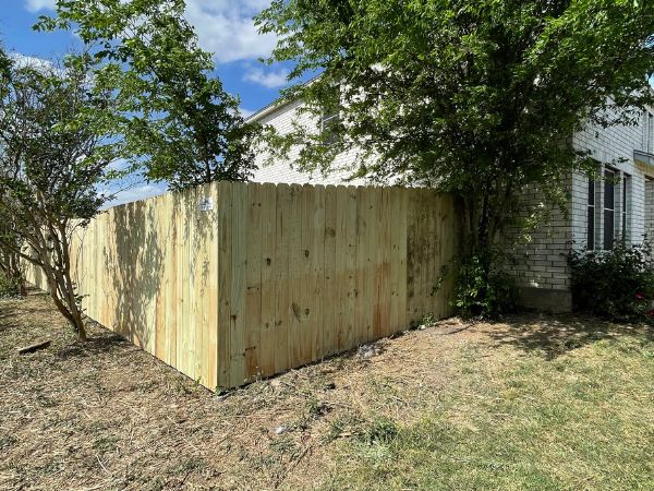 TreatedPinePrivancyFence