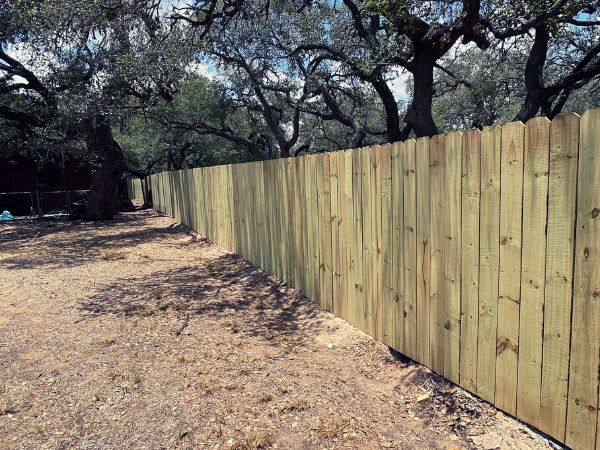 TreatedPinePrivancyFence