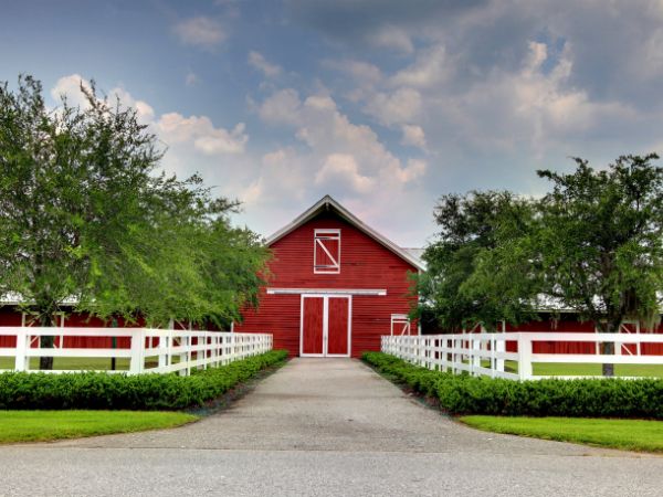 Ranch Fencing Installation